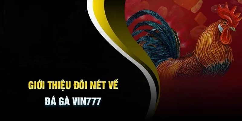 Giới thiệu vài nét chung nhất về đá gà Vin777