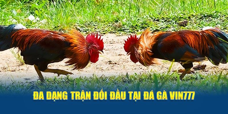 Đa dạng sảnh giải trí