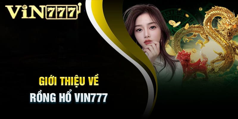 Cung cấp thông tin khái quát về game Rồng Hổ Vin777 cho người chơi