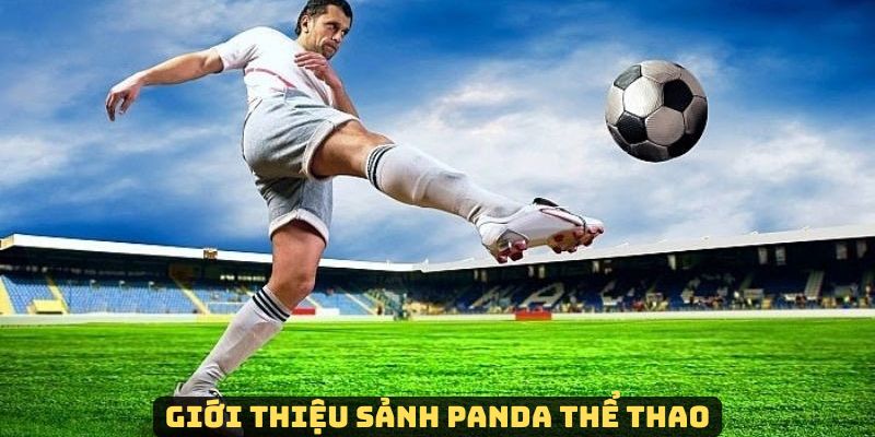 Những thông tin cơ bản cần biết về sảnh Panda Vin777 trong ngành cá cược